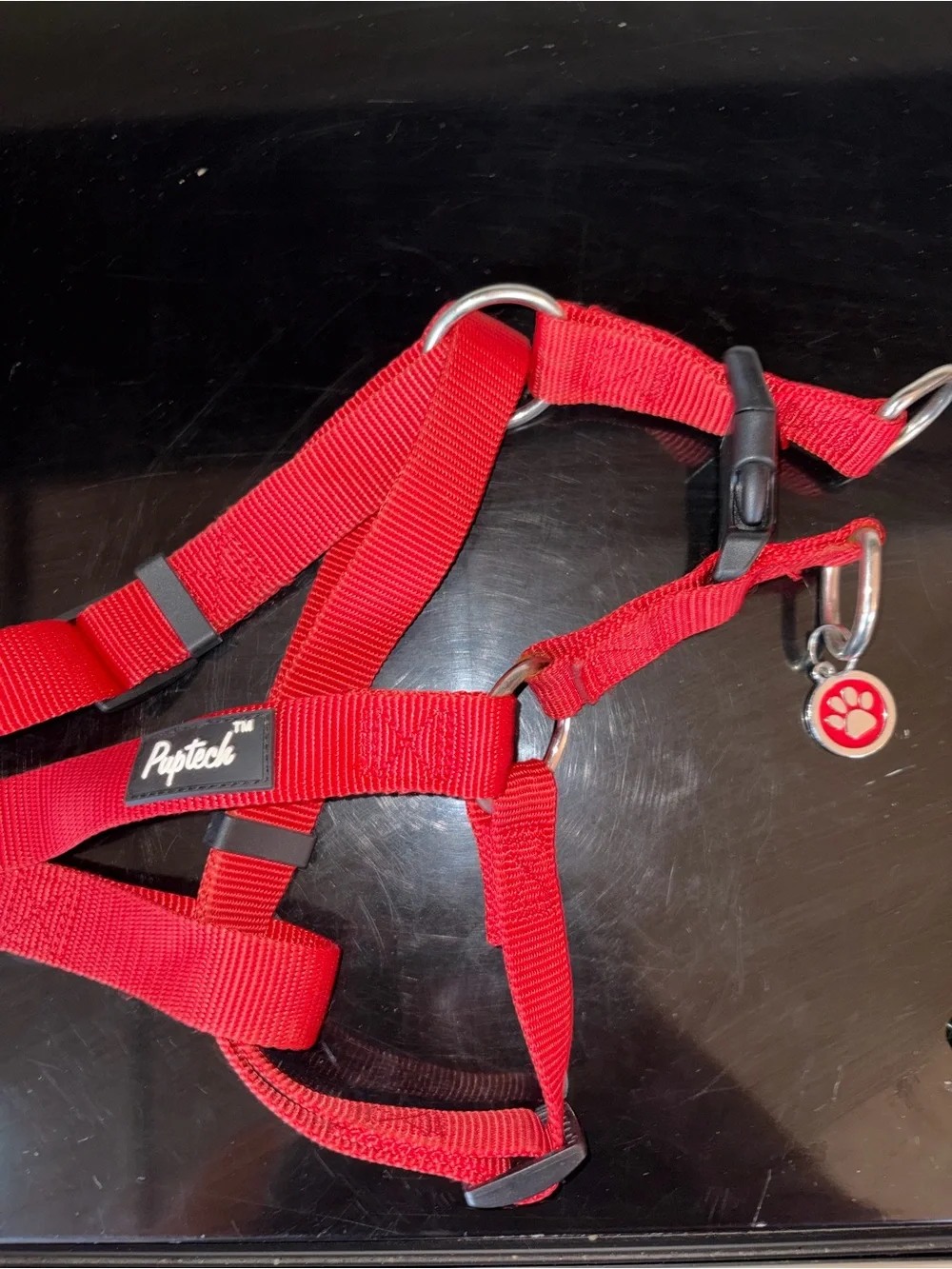 Red Adjustable Dog Harness with Paw Charm